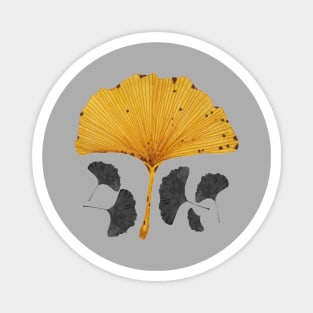 Ginkgo Leaf Tree Magnet